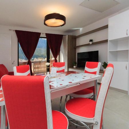 Stars & Mountain Apartment Buşteni エクステリア 写真