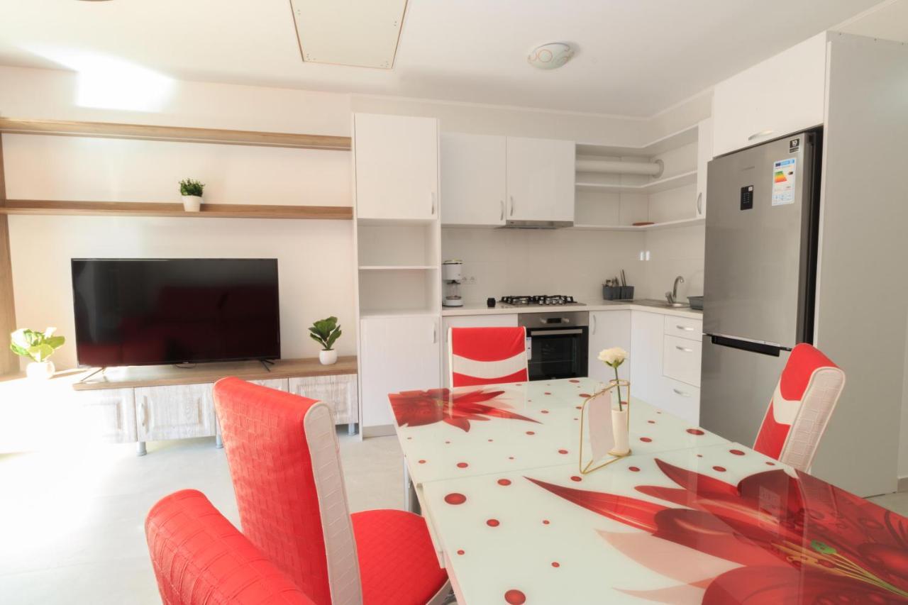 Stars & Mountain Apartment Buşteni エクステリア 写真