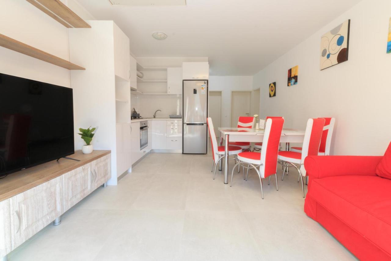 Stars & Mountain Apartment Buşteni エクステリア 写真