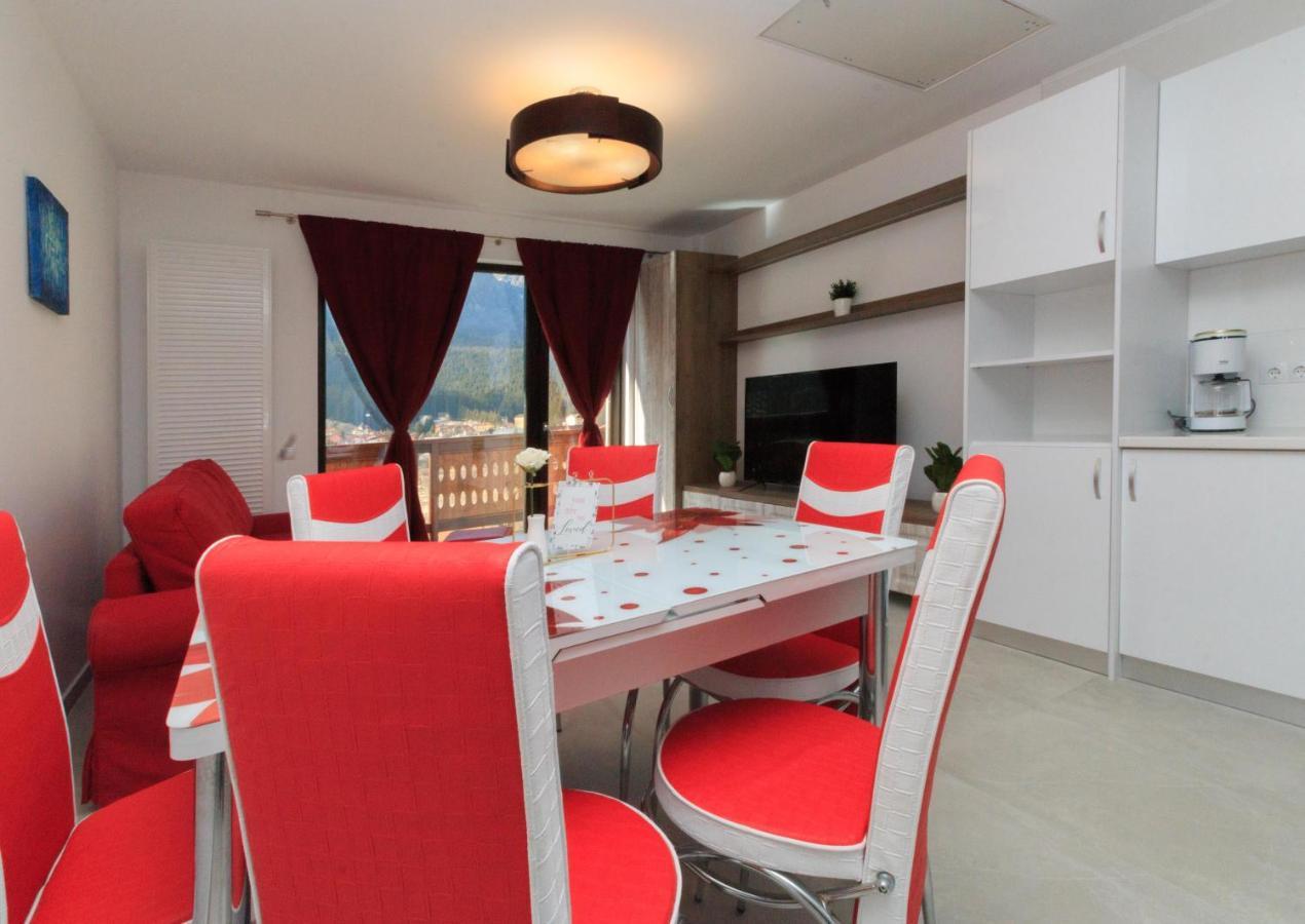 Stars & Mountain Apartment Buşteni エクステリア 写真