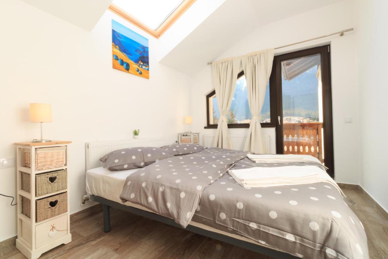 Stars & Mountain Apartment Buşteni エクステリア 写真