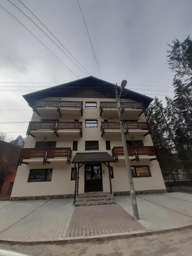 Stars & Mountain Apartment Buşteni エクステリア 写真