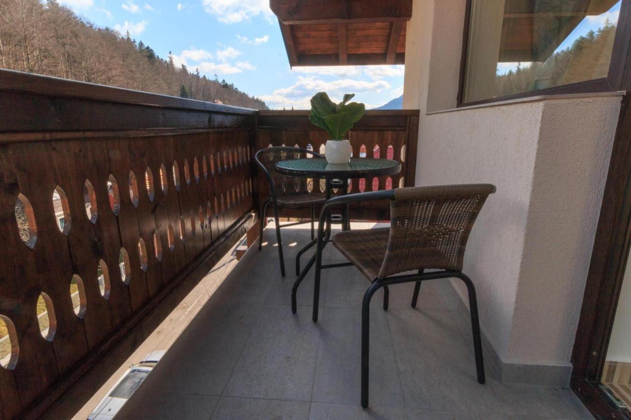 Stars & Mountain Apartment Buşteni エクステリア 写真