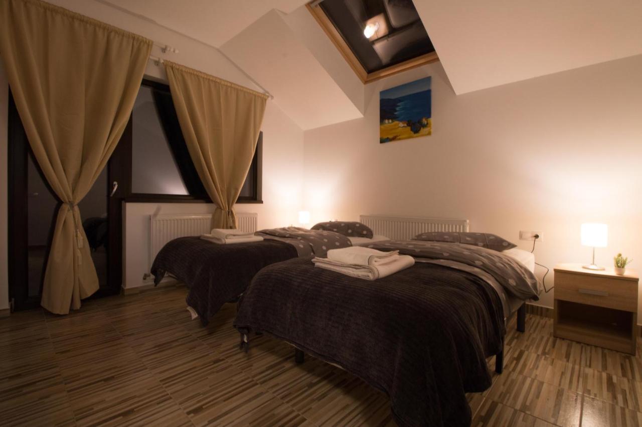 Stars & Mountain Apartment Buşteni エクステリア 写真