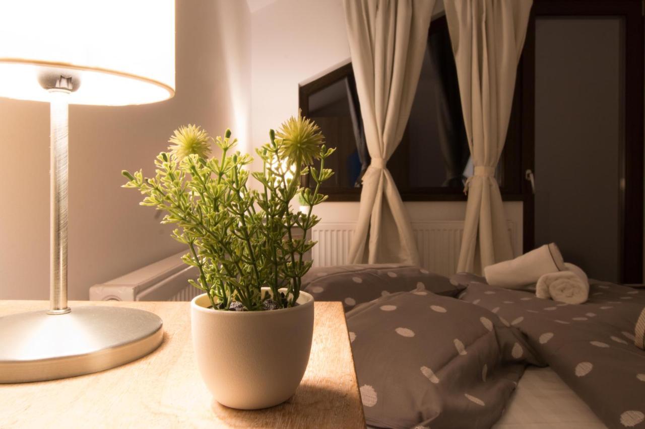 Stars & Mountain Apartment Buşteni エクステリア 写真