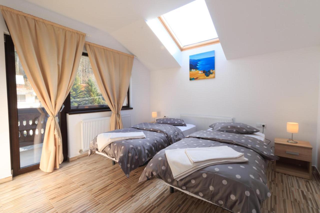 Stars & Mountain Apartment Buşteni エクステリア 写真