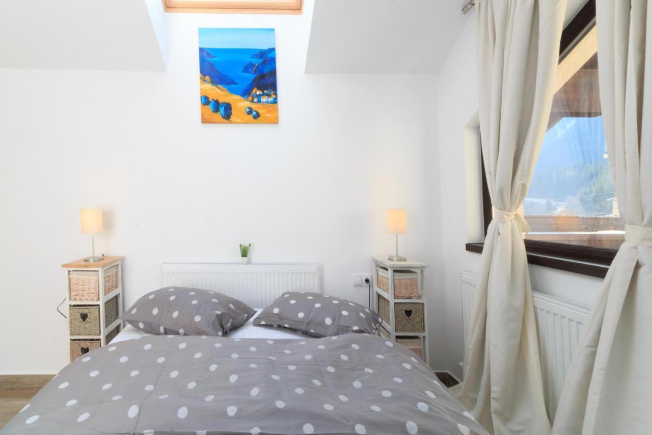Stars & Mountain Apartment Buşteni エクステリア 写真