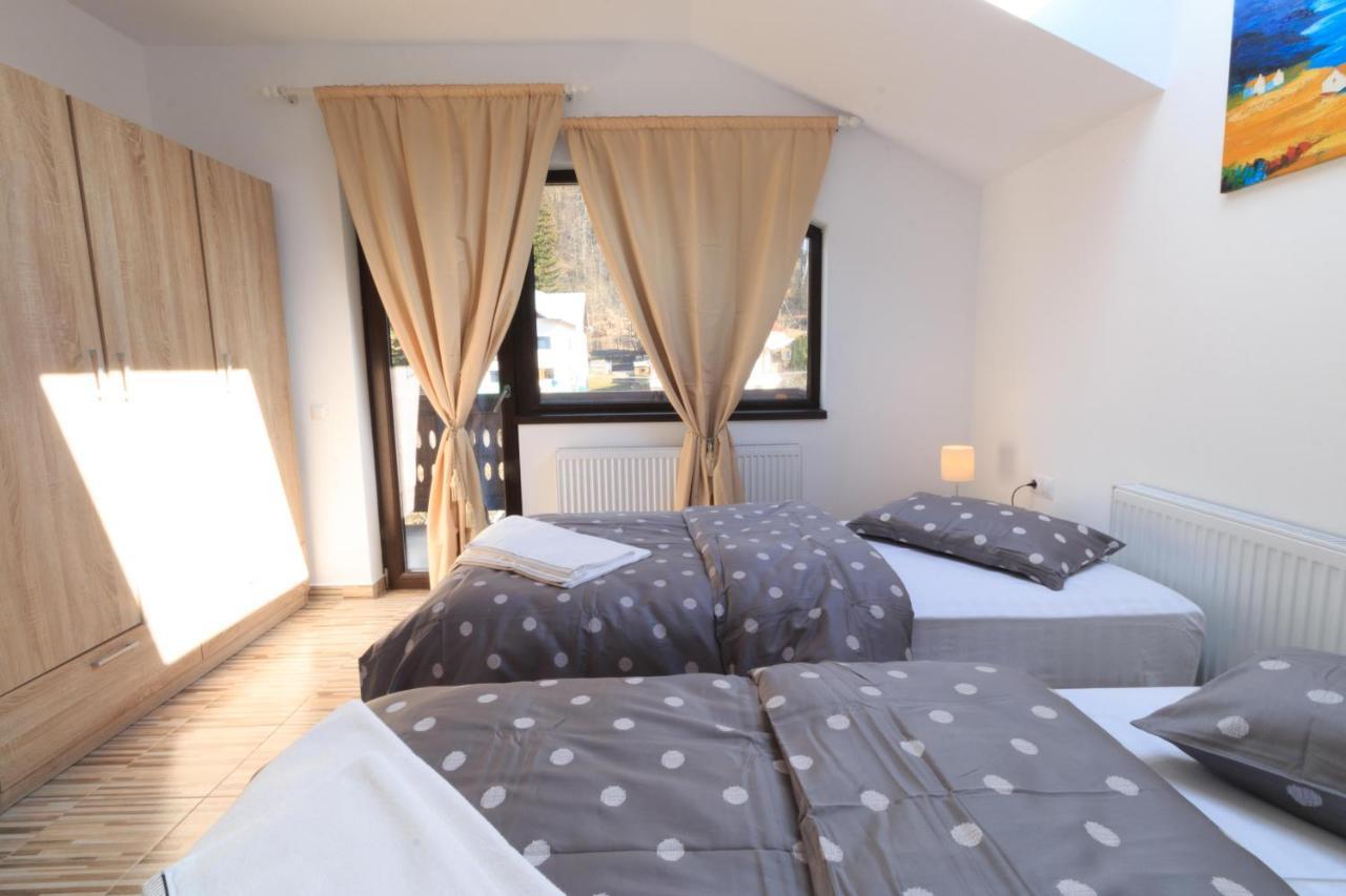 Stars & Mountain Apartment Buşteni エクステリア 写真