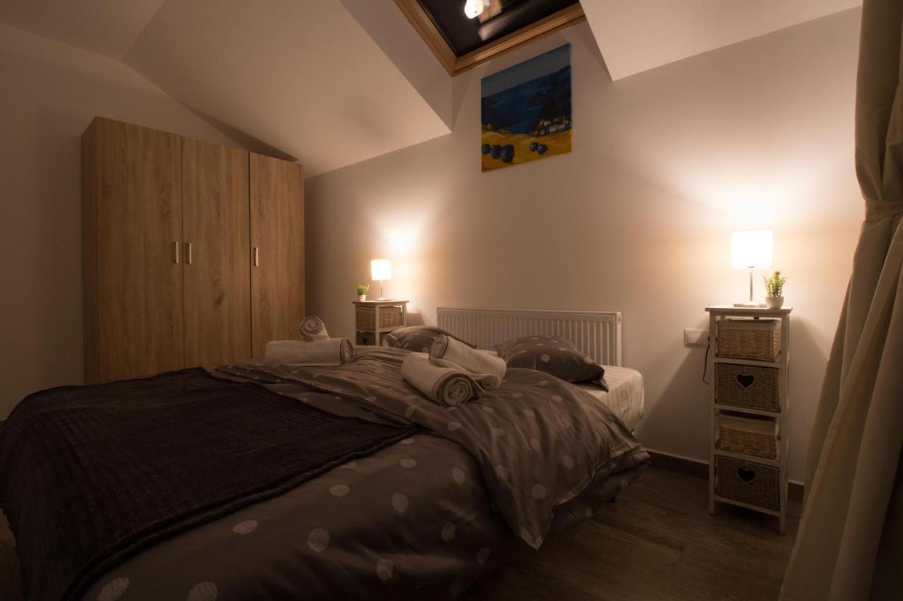 Stars & Mountain Apartment Buşteni エクステリア 写真