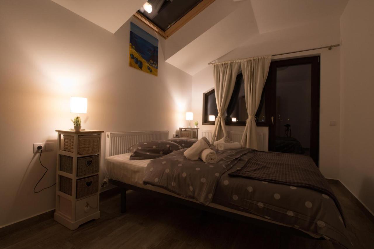 Stars & Mountain Apartment Buşteni エクステリア 写真