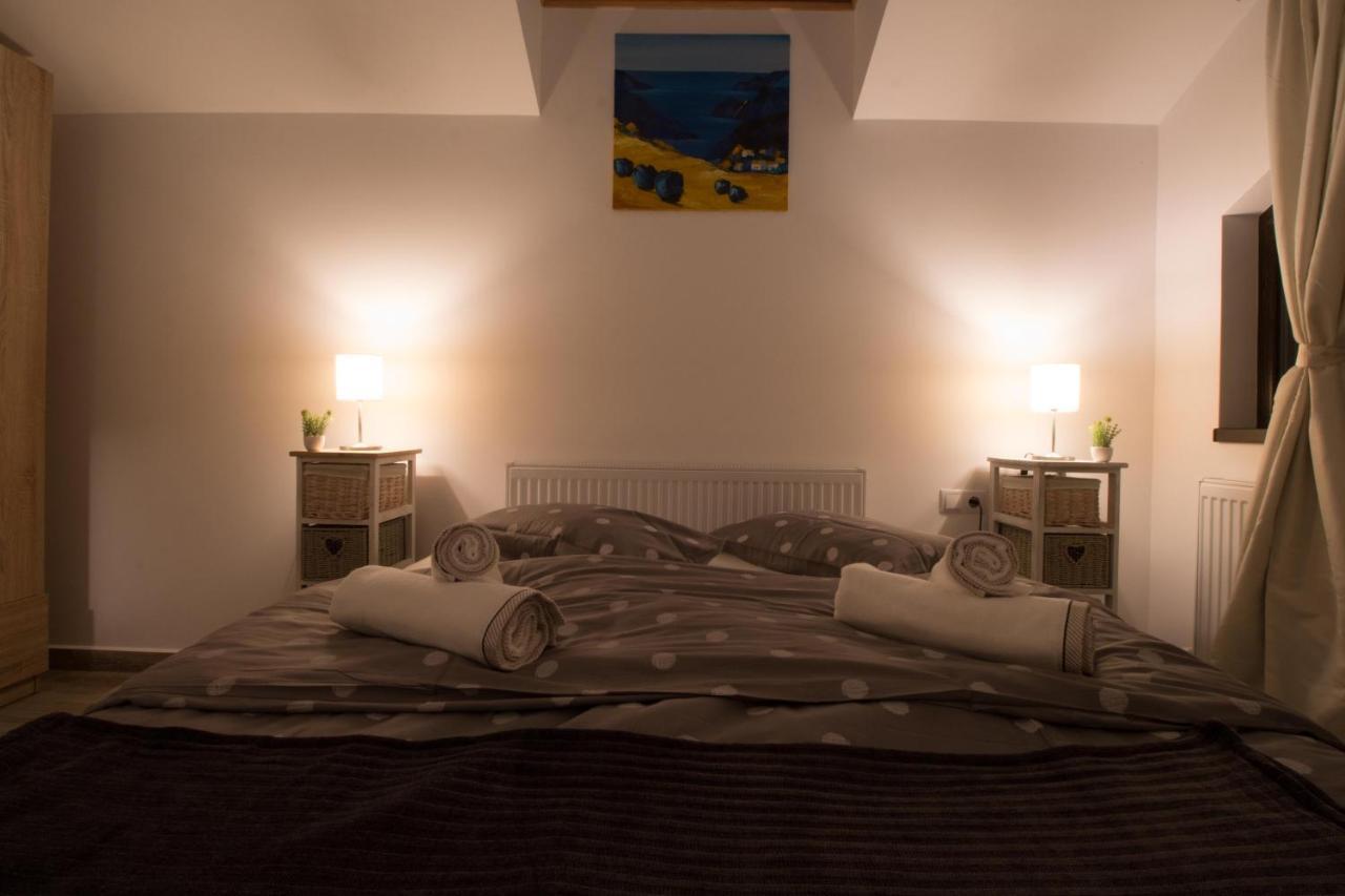 Stars & Mountain Apartment Buşteni エクステリア 写真