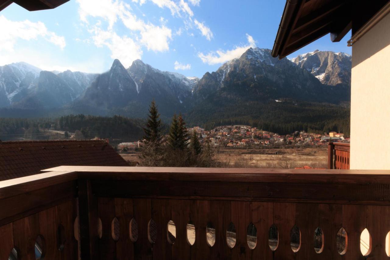 Stars & Mountain Apartment Buşteni エクステリア 写真