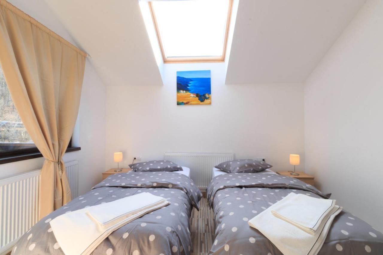 Stars & Mountain Apartment Buşteni エクステリア 写真